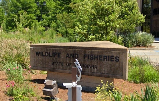 Lost Hunter Rescued from Attakapas WMA by Combined Efforts of LDWF, St. Mary Parish Sheriff and US Coast Guard