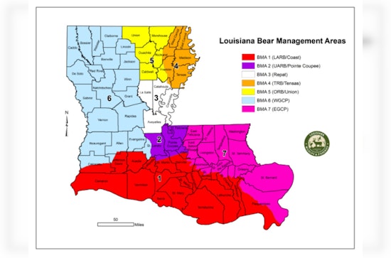 Louisiana Approves Expanded Black Bear Hunting Season for December 2025