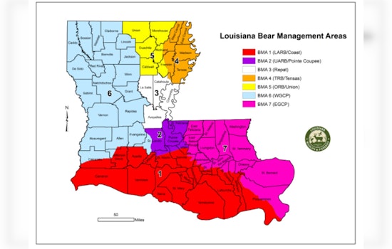 Louisiana Approves Expanded Black Bear Hunting Season for December 2025