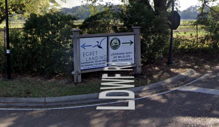 Louisiana Proposes New Black Bass Fishing Regulations at Renowned Bussey Brake Reservoir