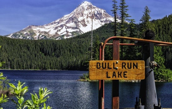 Low Levels of Cryptosporidium Detected in Portland's Bull Run Watershed, Health Officials Urge Caution for Immunosuppressed Individuals