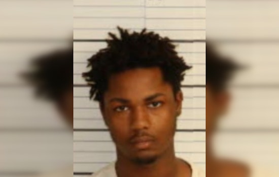 Man Accused of Fatally Throwing Dog Off South Memphis Bridge Held on $100K Bond