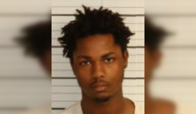 Man Accused of Fatally Throwing Dog Off South Memphis Bridge Held on $100K Bond
