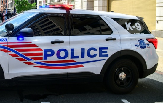 Man Charged With Destruction of Property in Vandalism Spree at Sela Public Charter School in Washington D.C.
