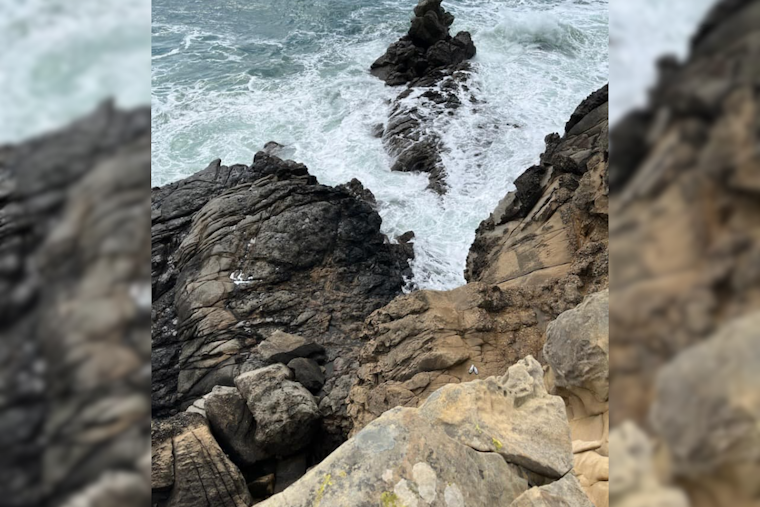 Man Swept Away and Killed by Wave on Sonoma Coast Amid High Surf Advisory