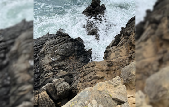 Man Swept Away and Killed by Wave on Sonoma Coast Amid High Surf Advisory