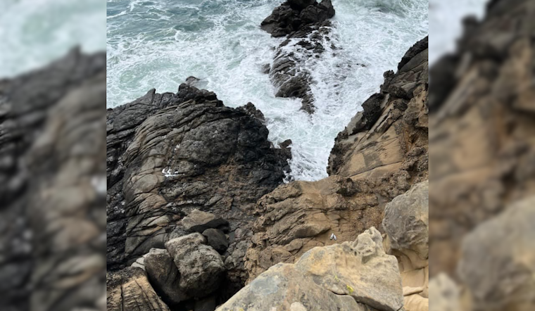 Man Swept Away and Killed by Wave on Sonoma Coast Amid High Surf Advisory