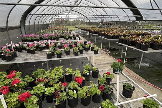 Manatee County Jail's LIFE Program Cultivates New Growth with Inmate-Grown Plant Sale in Palmetto
