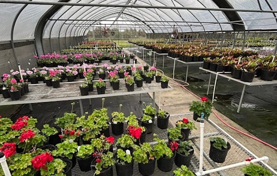 Manatee County Jail's LIFE Program Cultivates New Growth with Inmate-Grown Plant Sale in Palmetto