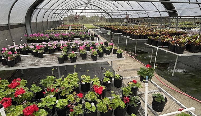 Manatee County Jail's LIFE Program Cultivates New Growth with Inmate-Grown Plant Sale in Palmetto