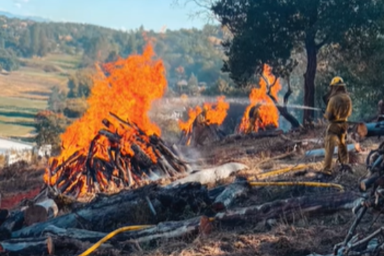 Marin County Plans Controlled Burns in Maurice Thorner Preserve and San Geronimo Park to Mitigate Wildfire Risks