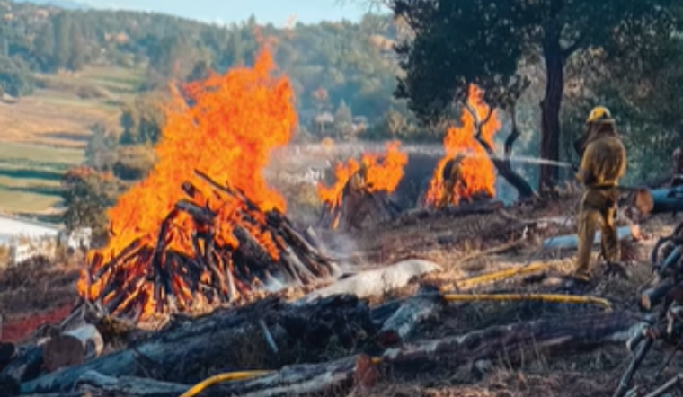 Marin County Plans Controlled Burns in Maurice Thorner Preserve and San Geronimo Park to Mitigate Wildfire Risks