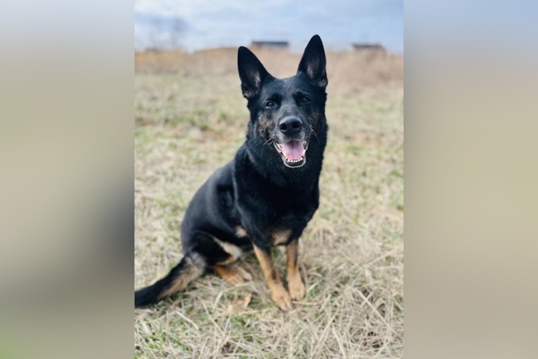 Martinsville Police Department Honors K-9 Officer Kimber After Sudden Passing