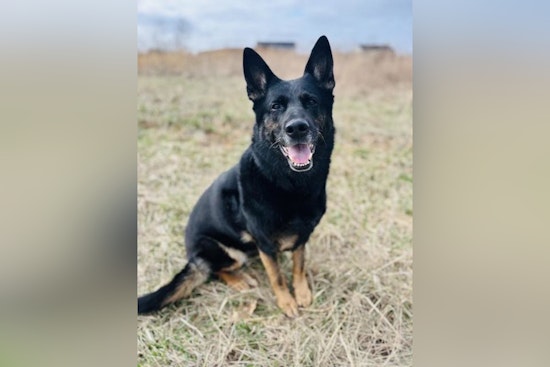 Martinsville Police Department Honors K-9 Officer Kimber After Sudden Passing