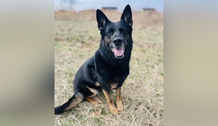 Martinsville Police Department Honors K-9 Officer Kimber After Sudden Passing