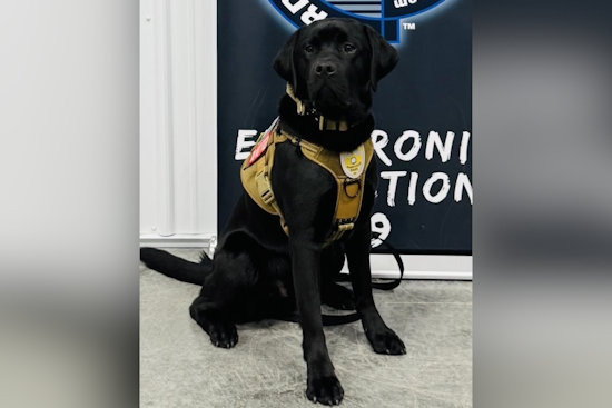 Maryville Police Department Boosts Crime-Fighting Arsenal with Specialized K-9 for Digital Evidence Detection