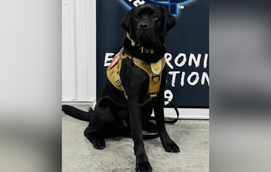 Maryville Police Department Boosts Crime-Fighting Arsenal with Specialized K-9 for Digital Evidence Detection
