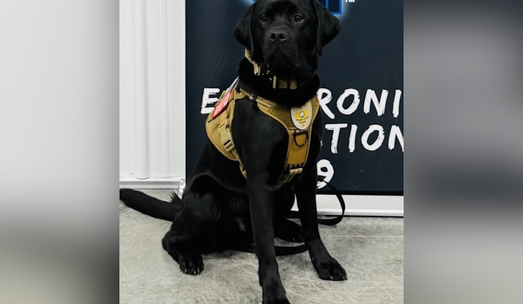 Maryville Police Department Boosts Crime-Fighting Arsenal with Specialized K-9 for Digital Evidence Detection