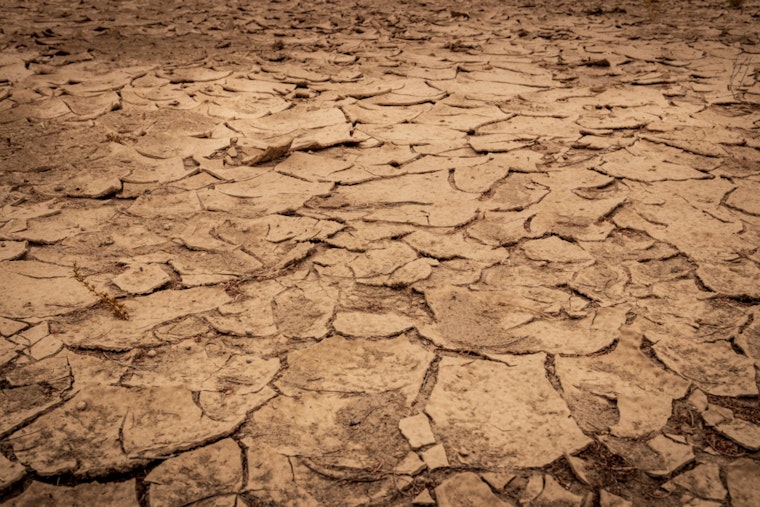 Massachusetts on High Alert for Wildfires Amid Severe Drought, Prompting Strict Water Conservation Measures