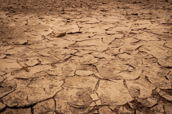 Massachusetts on High Alert for Wildfires Amid Severe Drought, Prompting Strict Water Conservation Measures