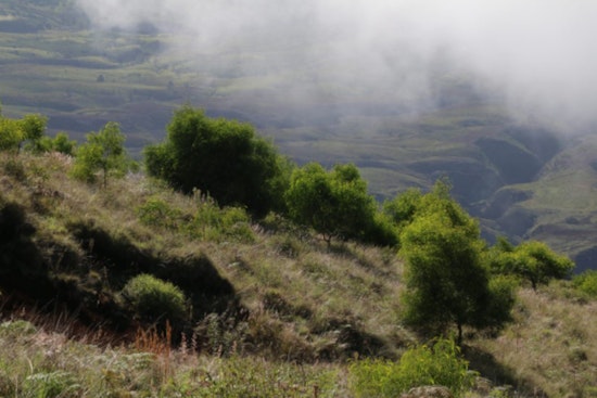 Maui Forest Reserves, Including Kula and Polipoli, Close for April Maintenance