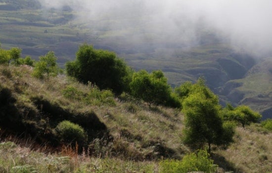Maui Forest Reserves, Including Kula and Polipoli, Close for April Maintenance