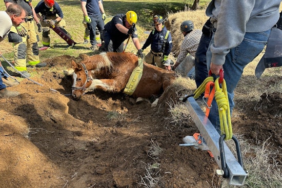 Maury County Agencies and Local Operator Team Up for Successful Horse Rescue on Culleoka Highway
