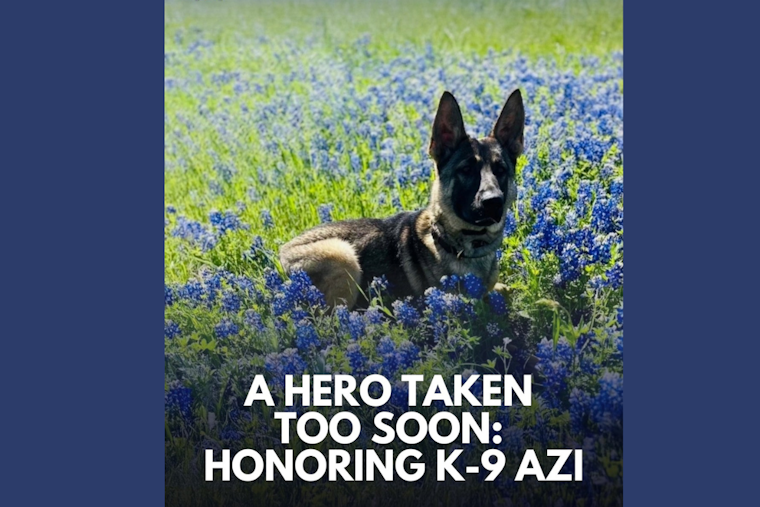 McKinney Police Department Mourns the Line-of-Duty Death of K-9 Azi