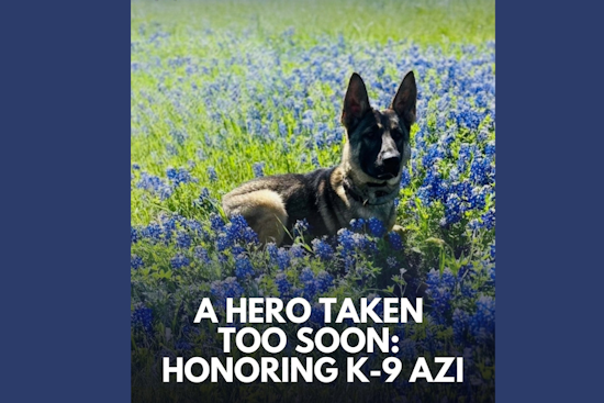 McKinney Police Department Mourns the Line-of-Duty Death of K-9 Azi