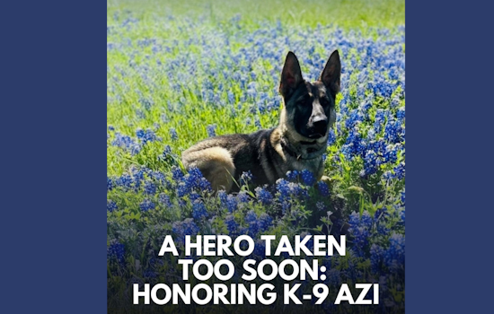 McKinney Police Department Mourns the Line-of-Duty Death of K-9 Azi