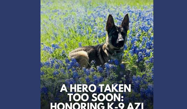 McKinney Police Department Mourns the Line-of-Duty Death of K-9 Azi