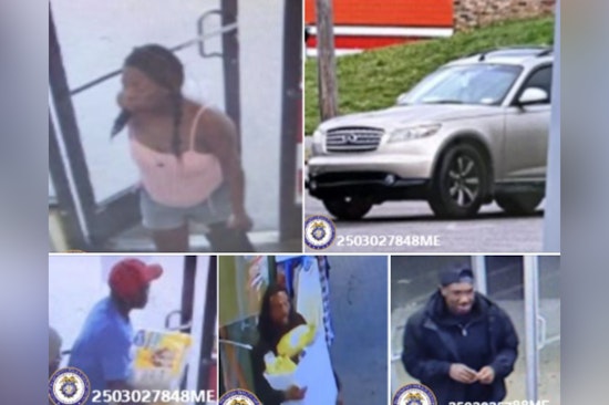 Memphis Police Seek Public's Help as Theft from Vehicles and Shoplifting Crimes Surge