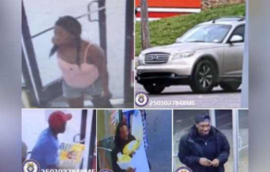 Memphis Police Seek Public's Help as Theft from Vehicles and Shoplifting Crimes Surge