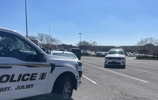 Memphis Woman Arrested in Mt. Juliet for Aggravated Burglary Warrants After Parking Violation at Target