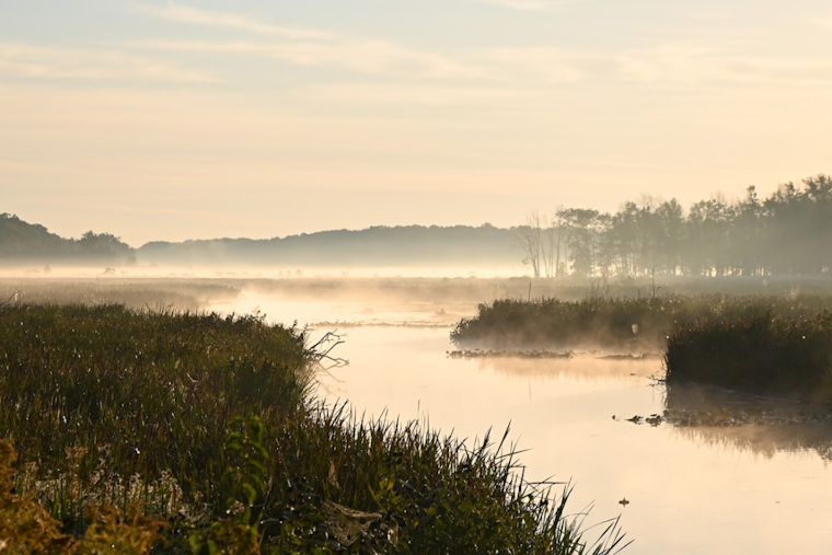 Mentor's Lagoons Marina Evolution Balances Preservation and Renewal Amidst Shoreline Defense Efforts
