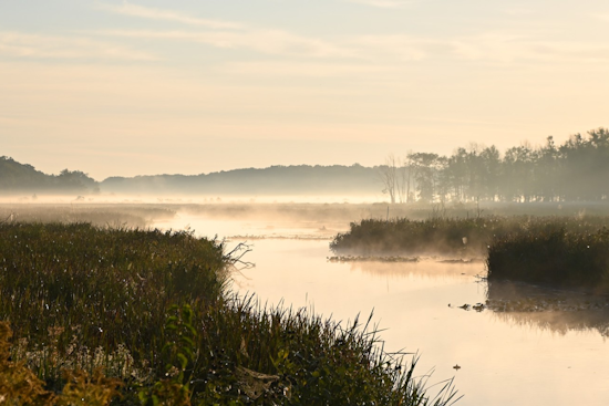 Mentor's Lagoons Marina Evolution Balances Preservation and Renewal Amidst Shoreline Defense Efforts