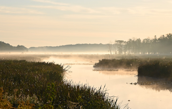 Mentor's Lagoons Marina Evolution Balances Preservation and Renewal Amidst Shoreline Defense Efforts