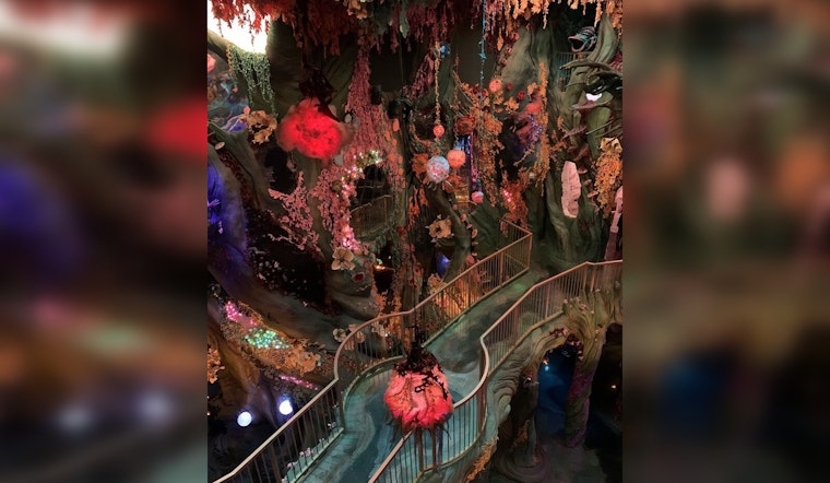 Meow Wolf to Unveil an Immense Interactive Art Space at NYC's Pier 17