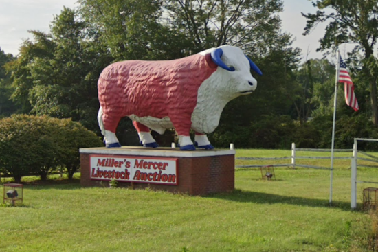 Mercer County Livestock Auction Owner Charged with Animal Cruelty Amid Disturbing Discovery