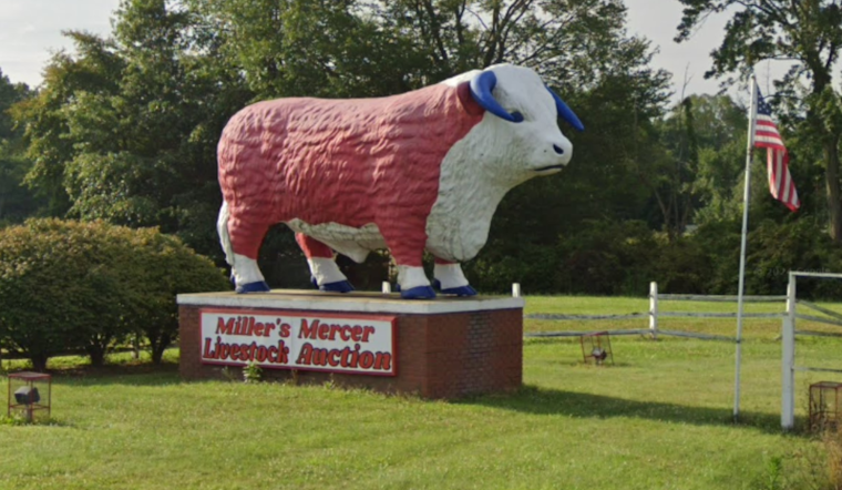 Mercer County Livestock Auction Owner Charged with Animal Cruelty Amid Disturbing Discovery