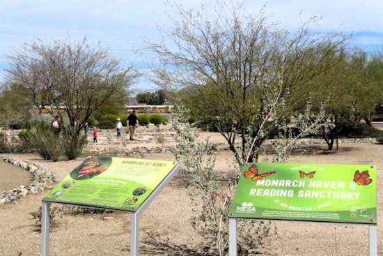 Mesa Mayor Mark Freeman Signs Mayors' Monarch Pledge to Bolster Butterfly Habitats