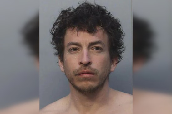 Miami Beach Man Charged with Animal Cruelty for Allegedly Trying to Drown Pit Bull