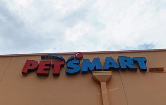 Miami-Dade Animal Services Receives $45,000 Grant for Pet Adoption Event in Collaboration with PetSmart Charities