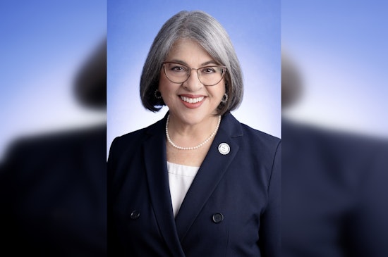 Miami-Dade Mayor Daniella Levine Cava to Introduce Urban Forestry Plan for Greener Canopy Coverage
