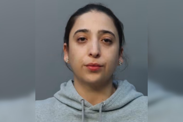 Miami Woman Accused of Stealing Unmarked Police Car from Officer After Drinks Together