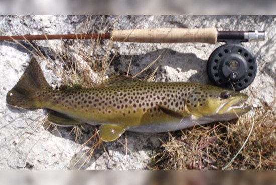 Michigan Anglers Prepare for 2025 Season as DNR Unveils New Fishing Regulations and License Information