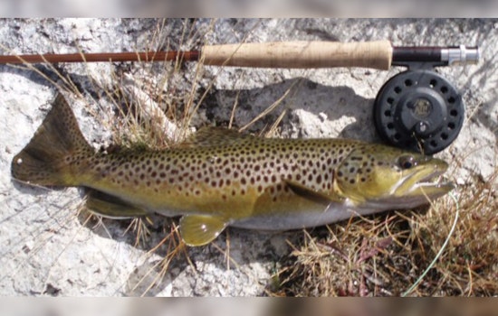 Michigan Anglers Prepare for 2025 Season as DNR Unveils New Fishing Regulations and License Information