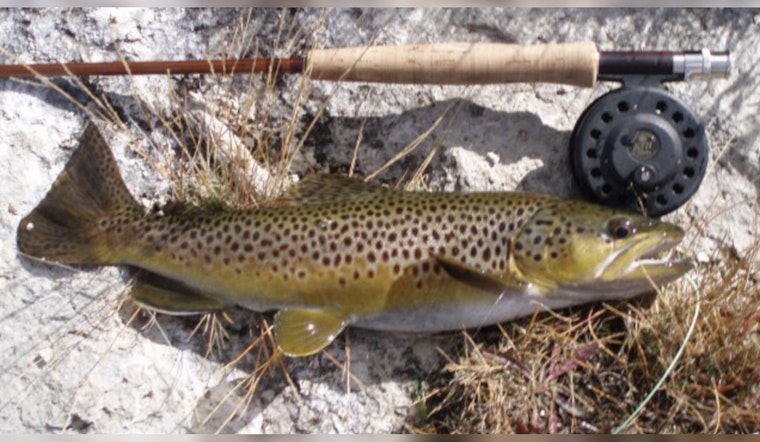 Michigan Anglers Prepare for 2025 Season as DNR Unveils New Fishing Regulations and License Information