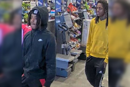 Michigan Duo Charged in Organized Retail Theft Spree Spanning Michigan to Massachusetts