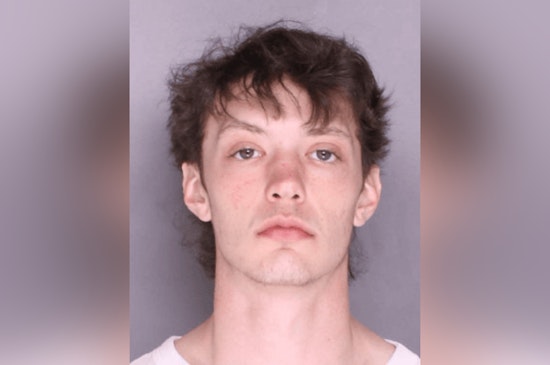 Michigan Men Plead Guilty to Violent Robbery of Comic Book Store in Lower Southampton Township